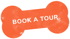 https://spacan.bsweb.com.co/wp-content/uploads/2019/07/text_03.png