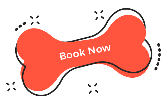 https://spacan.bsweb.com.co/wp-content/uploads/2019/08/book_now.png