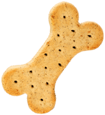https://spacan.bsweb.com.co/wp-content/uploads/2019/08/cookie.png