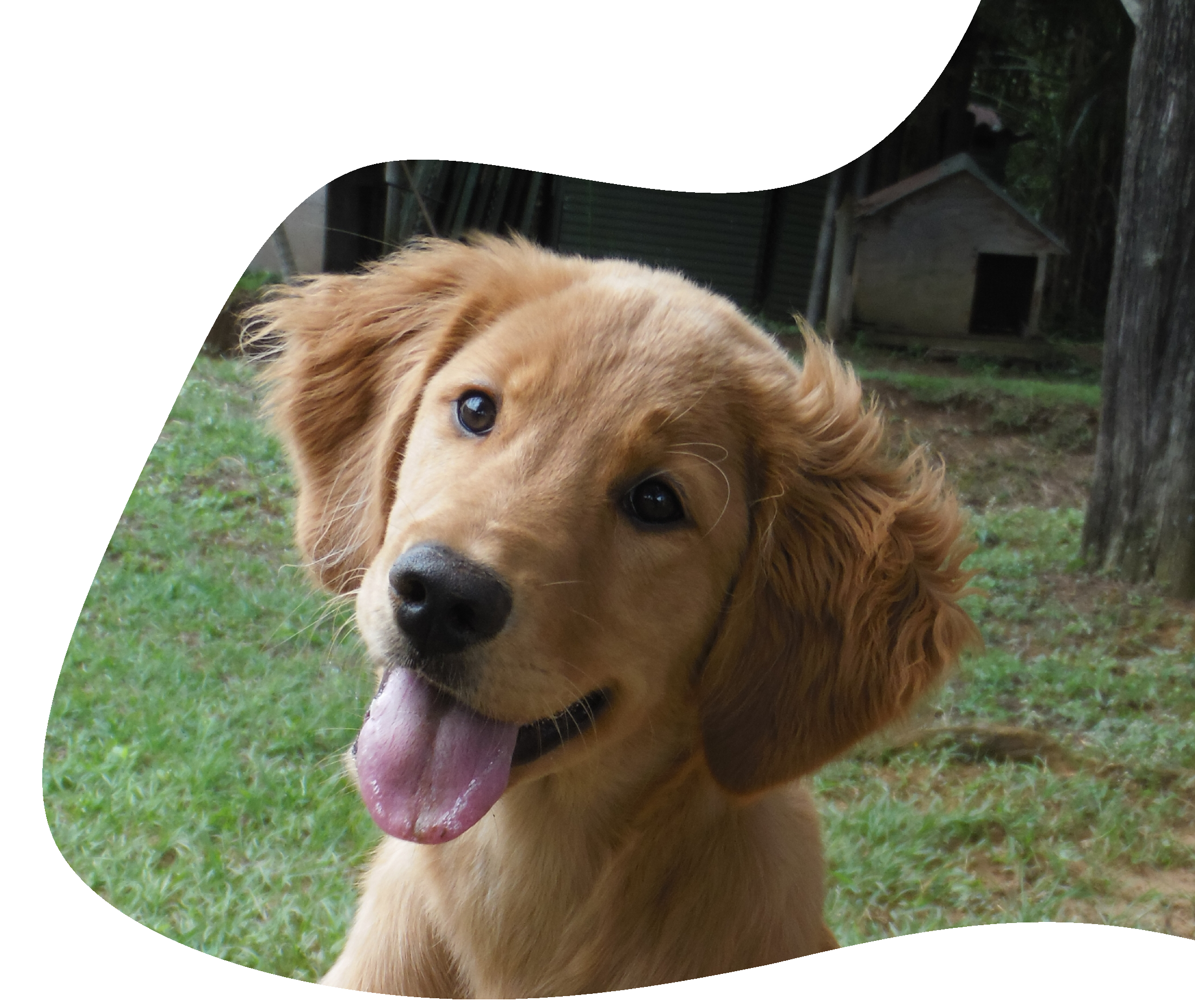 https://spacan.bsweb.com.co/wp-content/uploads/2020/09/home.png